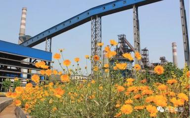 回眸2019(三)|堅持綠色發展理念 推動企業高質量發展