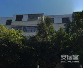 輕工機(jī)械廠宿舍小區(qū)照片