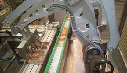 輕工業(yè)營(yíng)收突破16萬(wàn)億，驅(qū)動(dòng)食品機(jī)械行業(yè)邁向高質(zhì)量發(fā)展