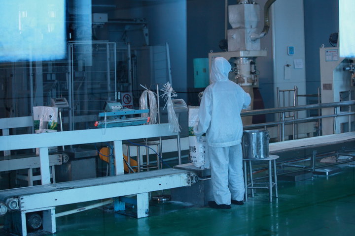 光影詩(shī)行 穆志忠鏡頭下的明湖水杉與輕工印象